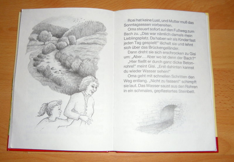 Leselöwen-Umweltgeschichten: Vom Wasser - Edgar Wüpper