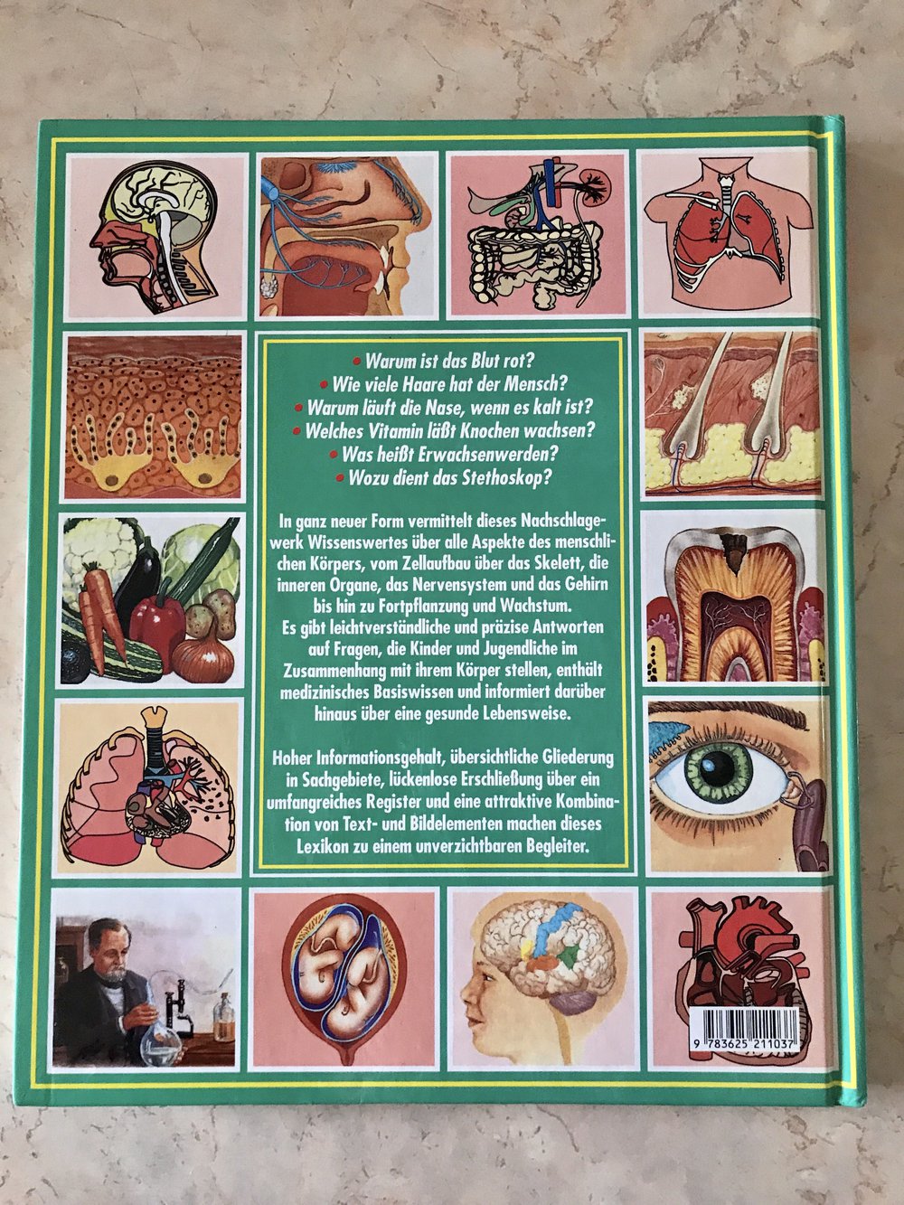 WISSEN FÜR KINDER  DER MENSCH