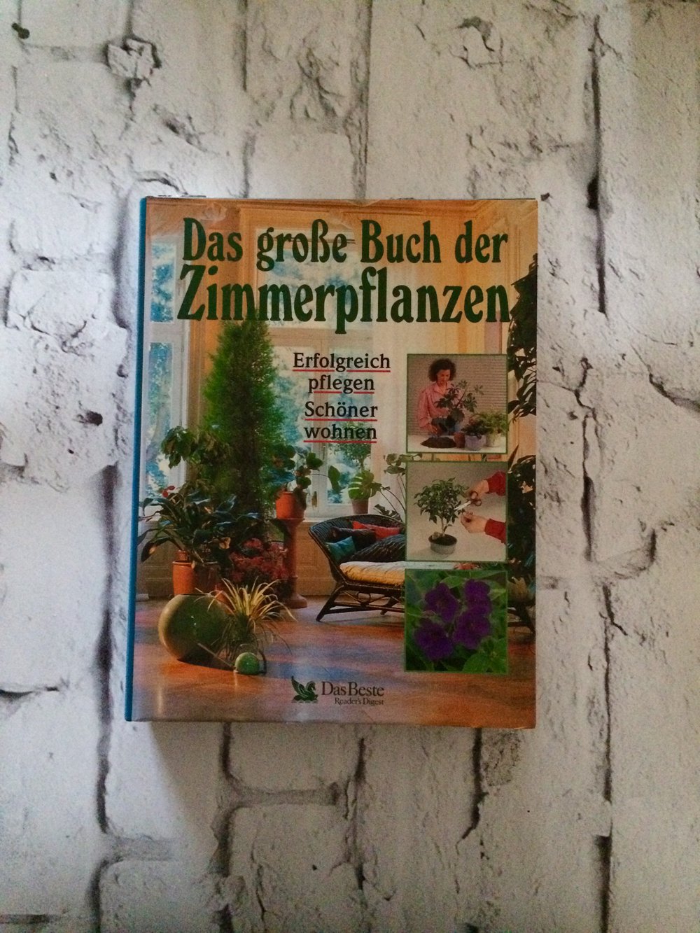 Das große Buch der Zimmerpflanzen // Erfolgreich pflegen schöner wohnen 