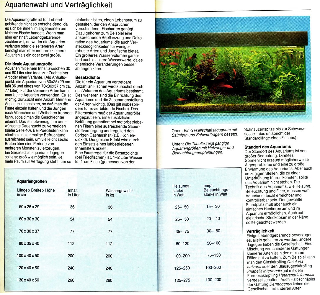 Lebendgebärende Fische - Pflege und Zucht