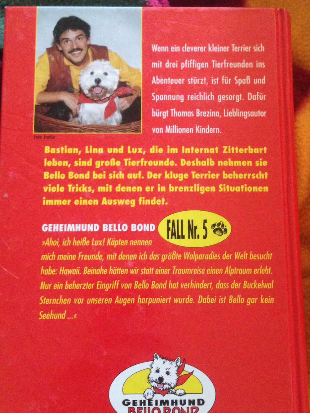 Wer jagt den Buckelwal?