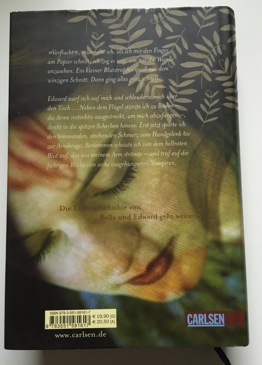 Biss zur Mittagsstunde - Gebundene Ausgabe