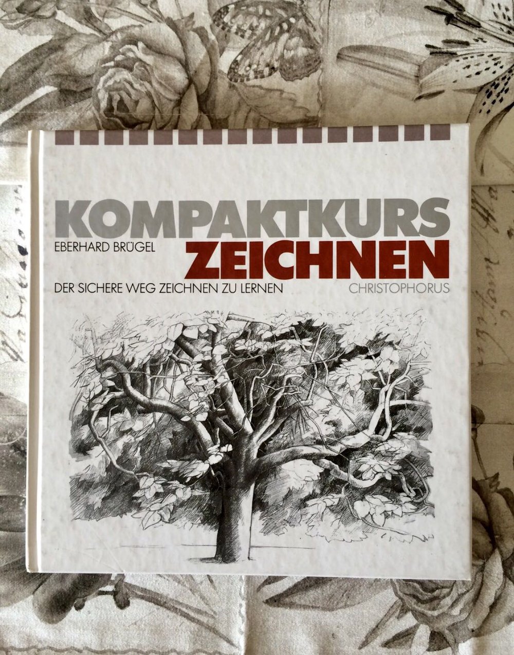 Kompaktkurs Zeichnen Der sichere Weg Zeichnen zu lernen 