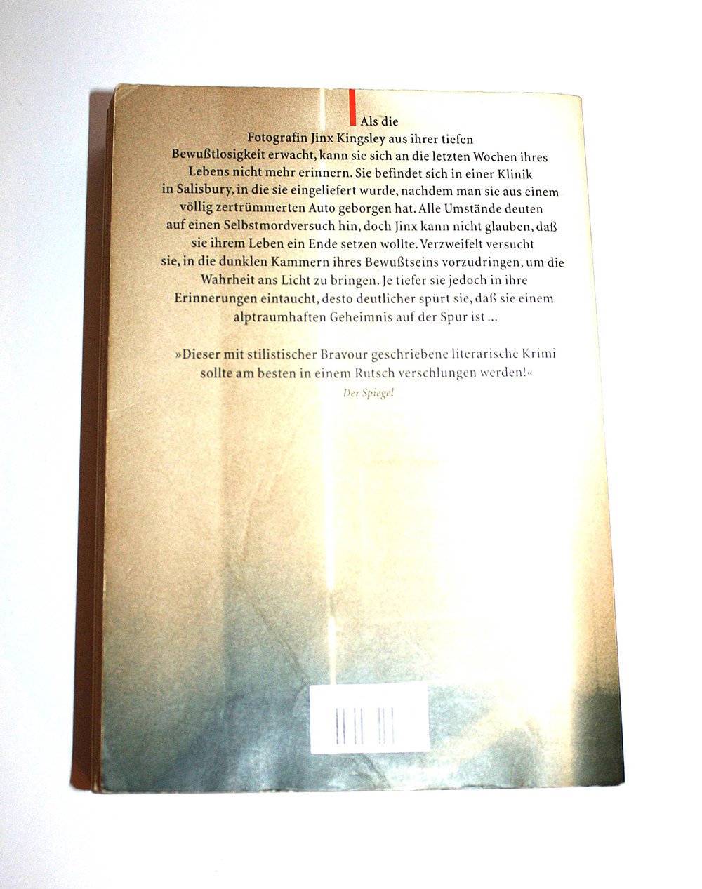 Dunkle Kammern Roman Minette Walters