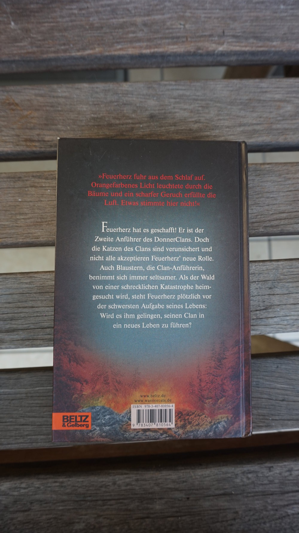 WarriorCats Staffel 1 BAND 4