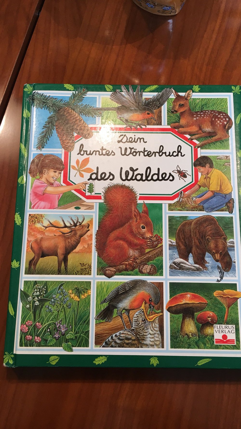 Dein buntes Wörterbuch des Waldes 