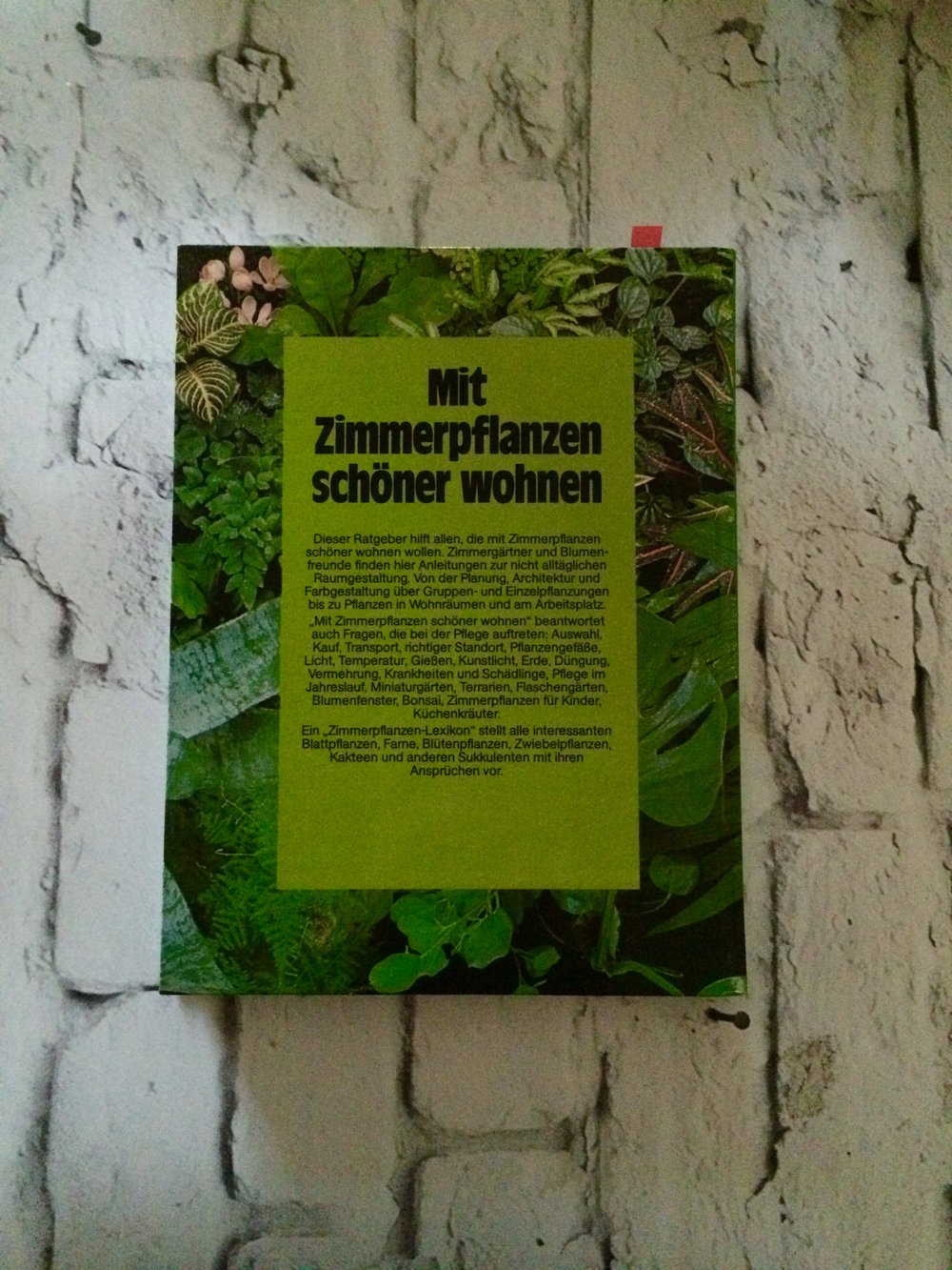 Mit Zimmerpflanzen schöner wohnen //Das große Buch für Zimmergärtner und Blumenfrunde