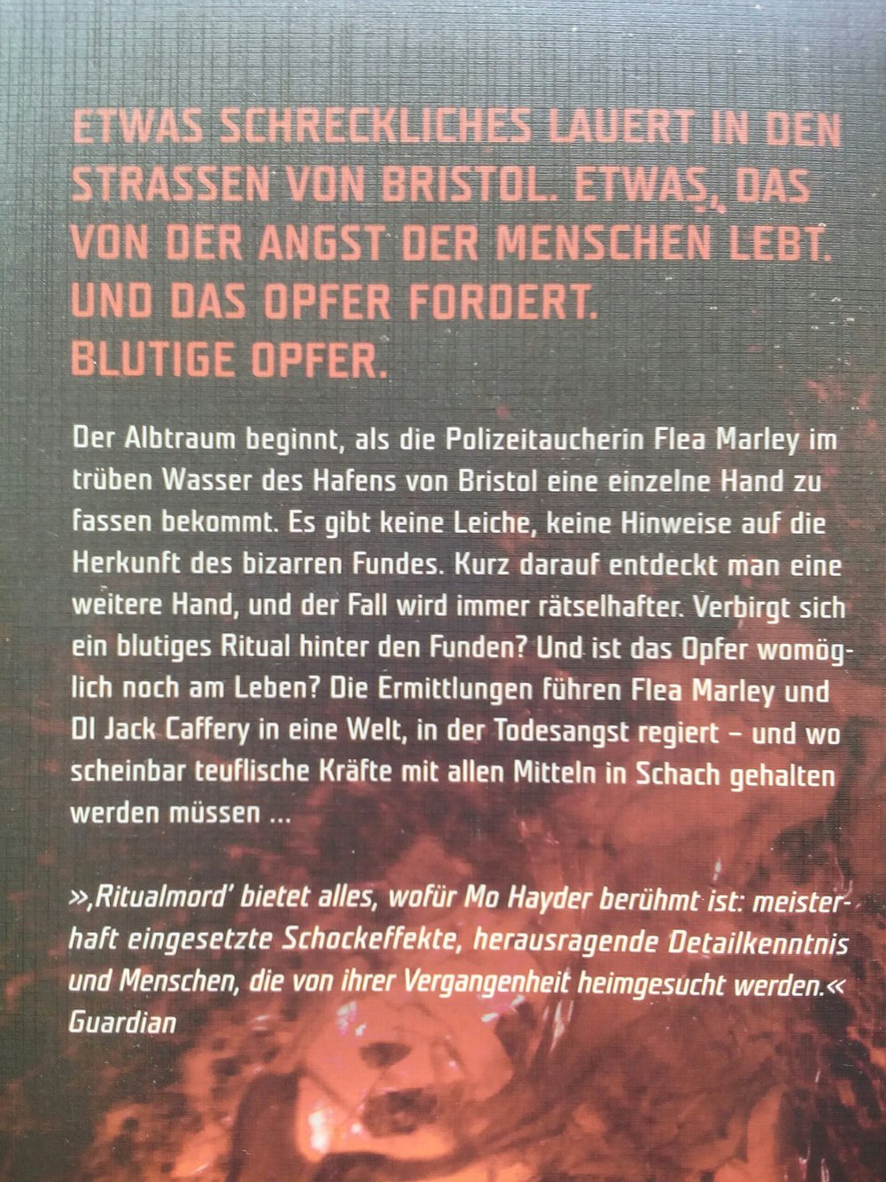 Thriller von Mo Hayder  - Ritualmord 