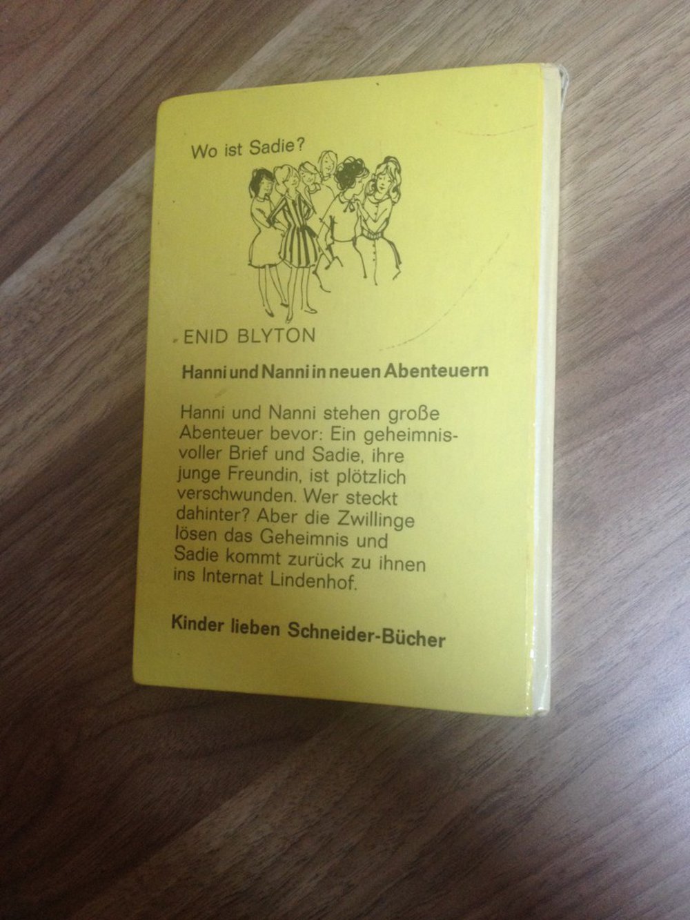 Hanni und Nanni in neuen Abenteuern