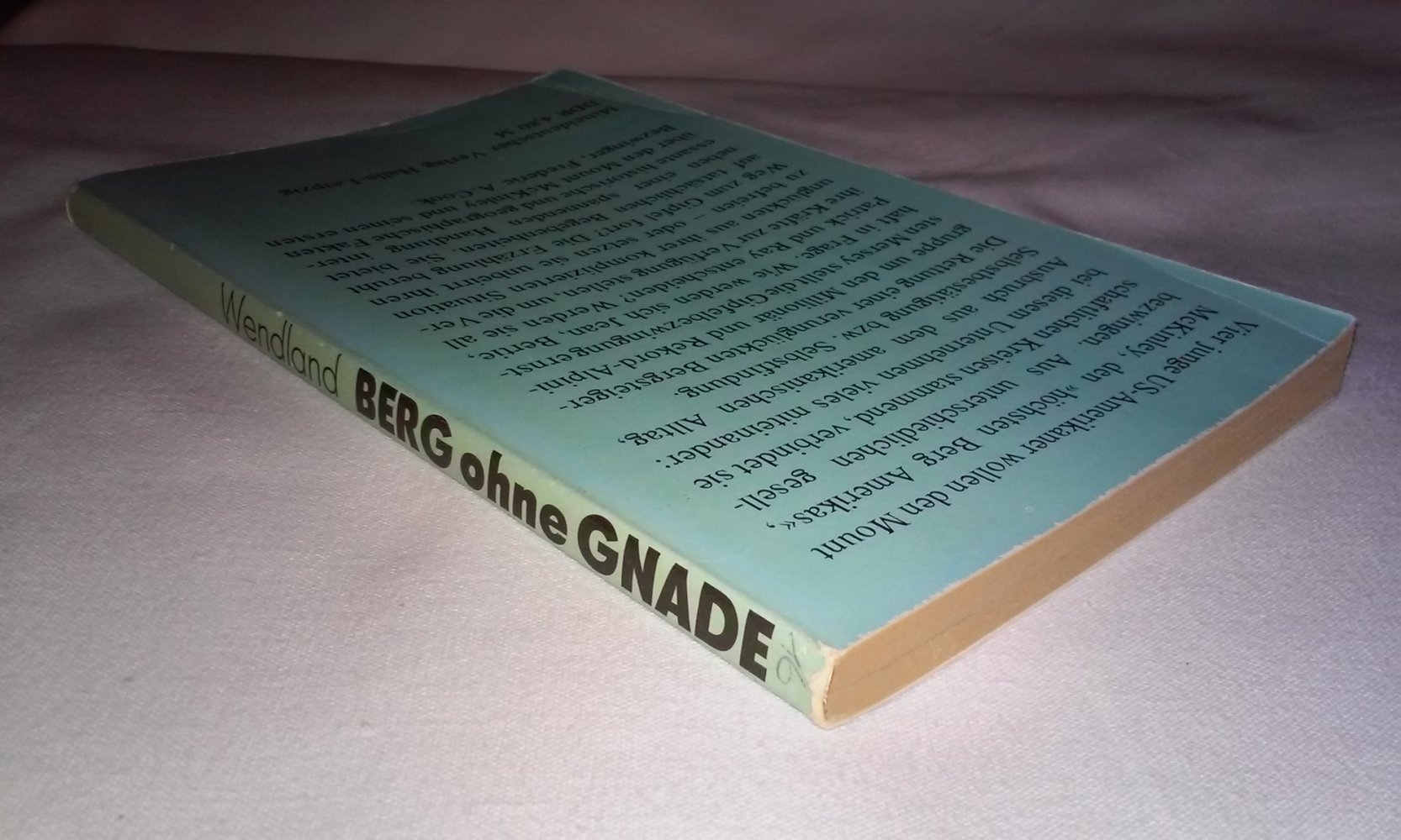 Berg ohne Gnade - Abenteuererzählung auf Tatsachen basierend Heide Wendland