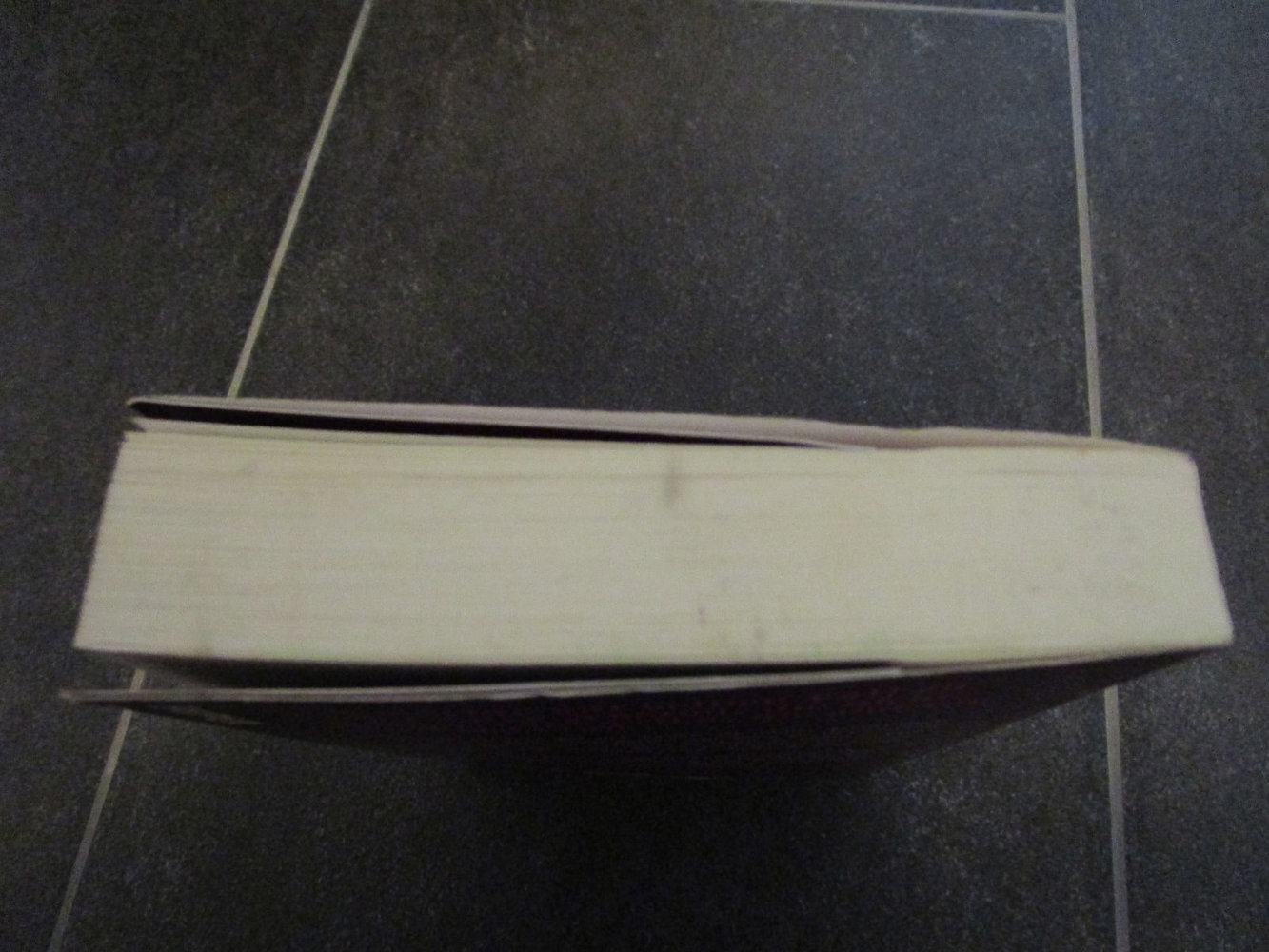 Buch Schoßgebete von Charlotte Roche, Verlag Piper 