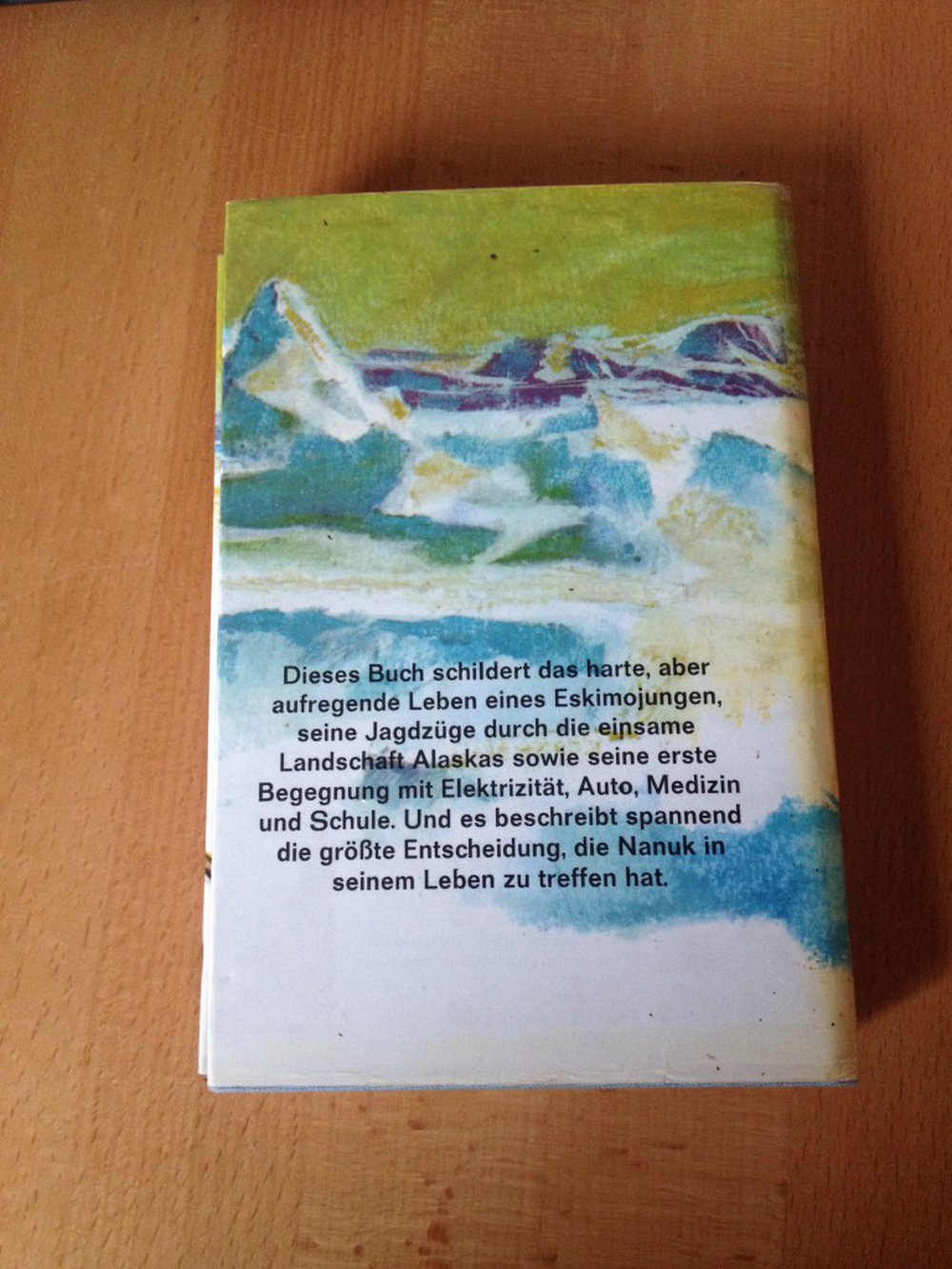 Abenteuer am Rande des ewigen Eises