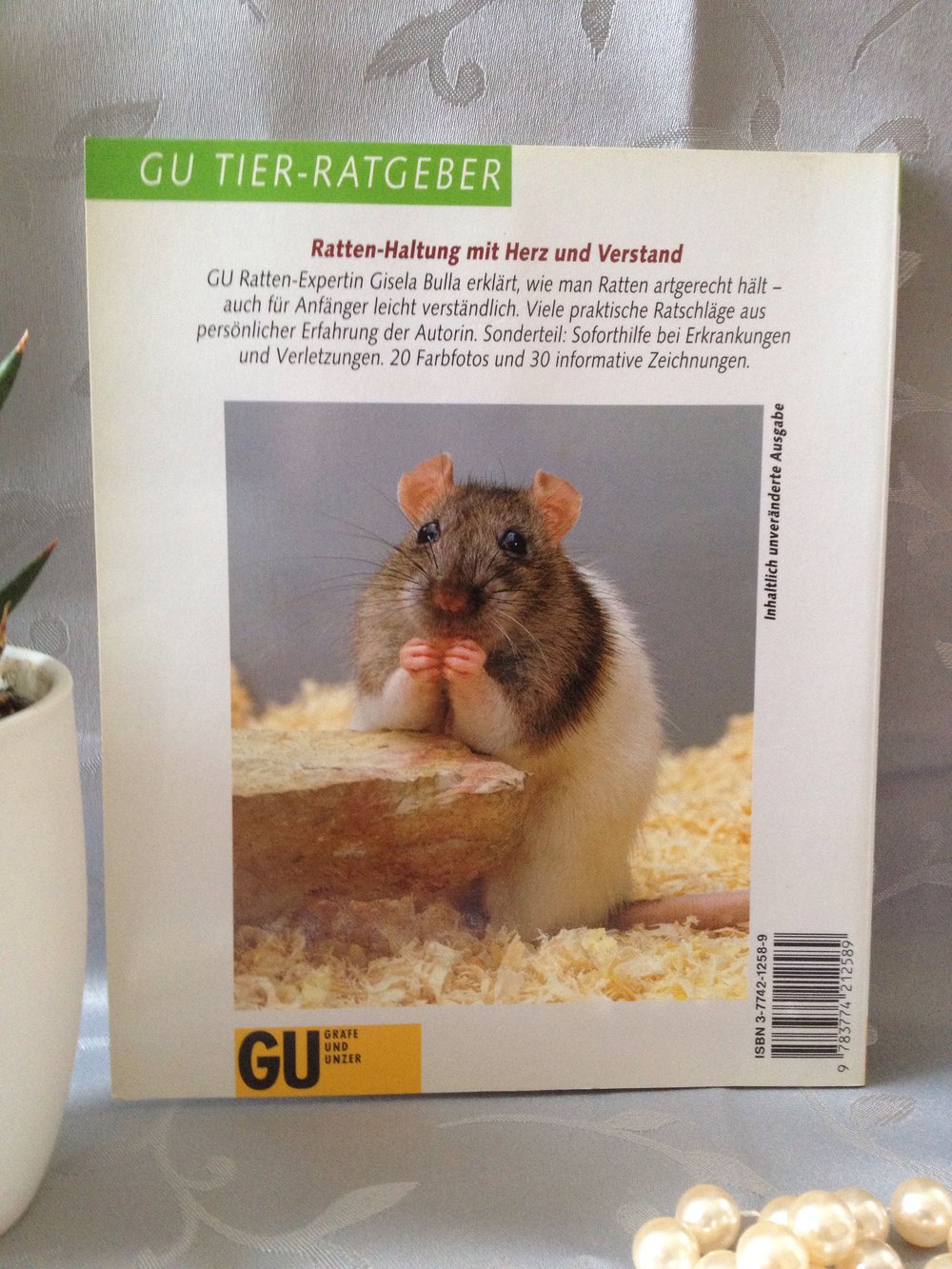Ratten als Heimtiere