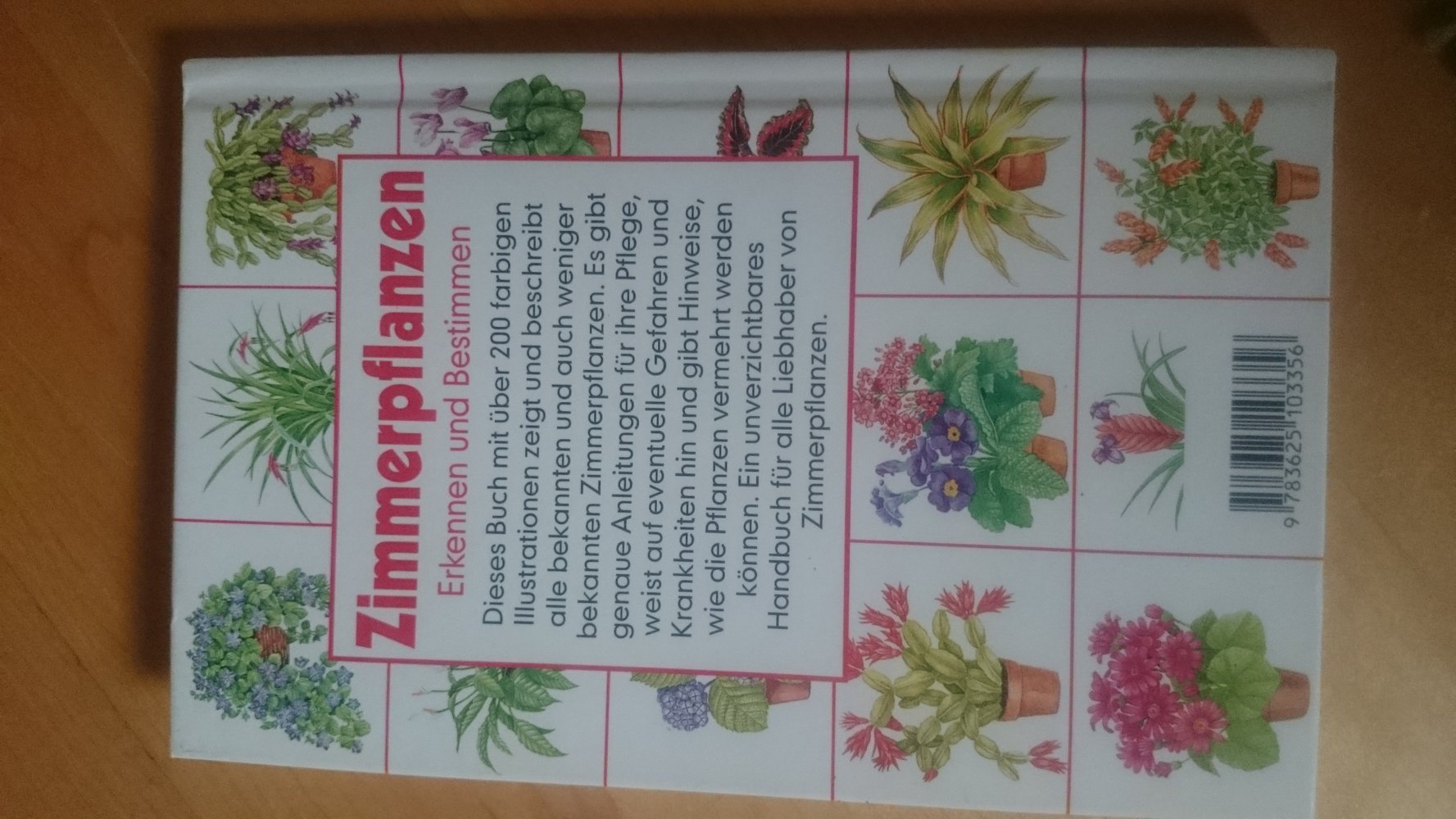 Zimmerpflanzen. Erkennen und Bestimmen.