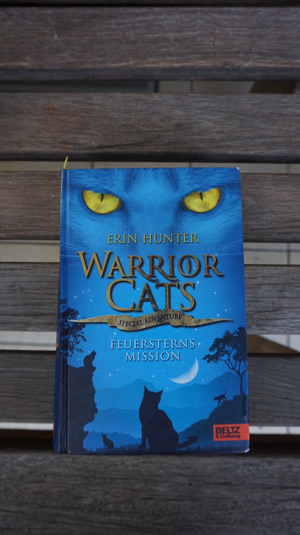 WARRIORCATS SPEZIALBAND 1