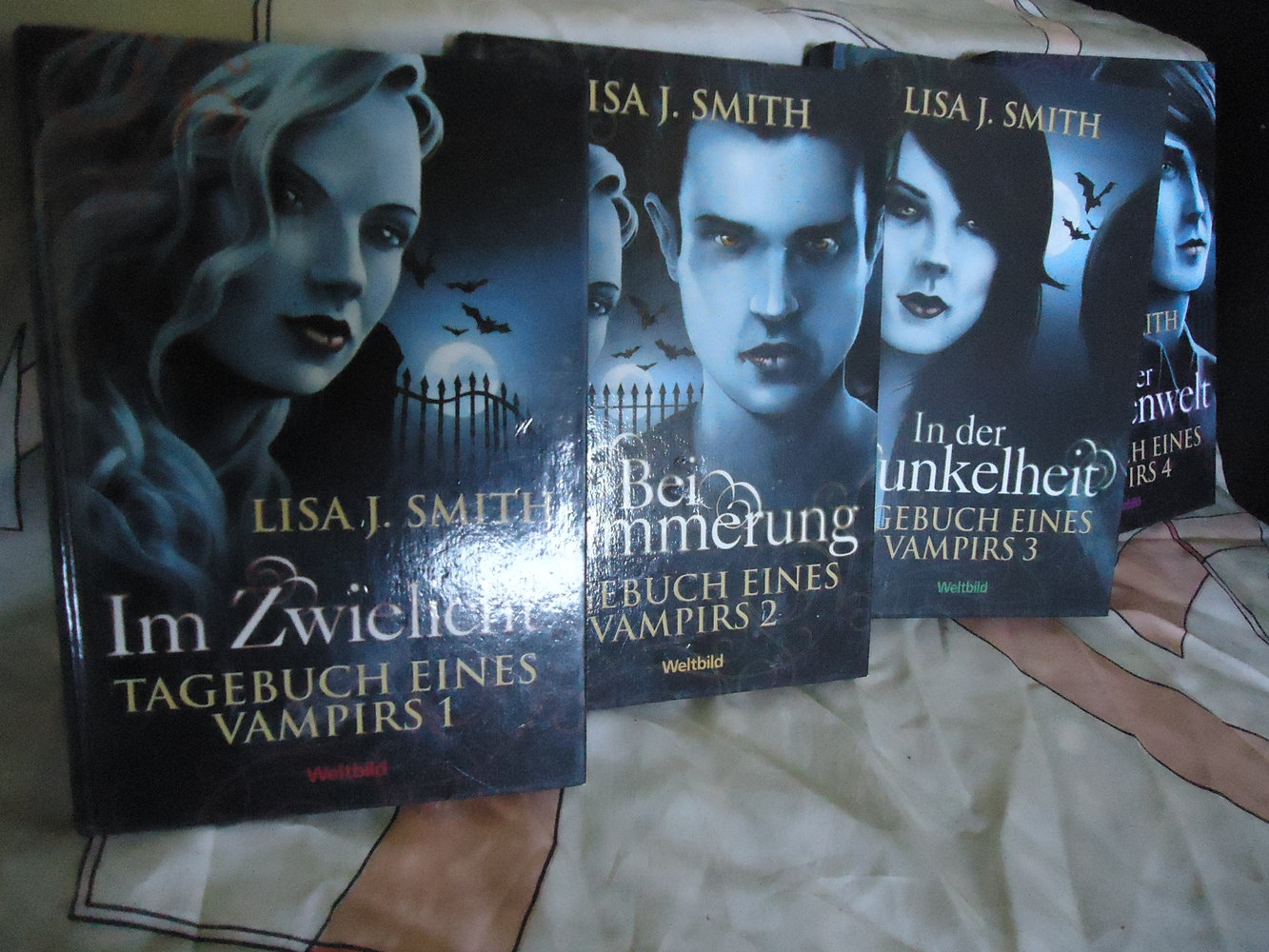 In der Schattenwelt (TAGEBUCH EINES VAMPIRS ) Band 1-4 