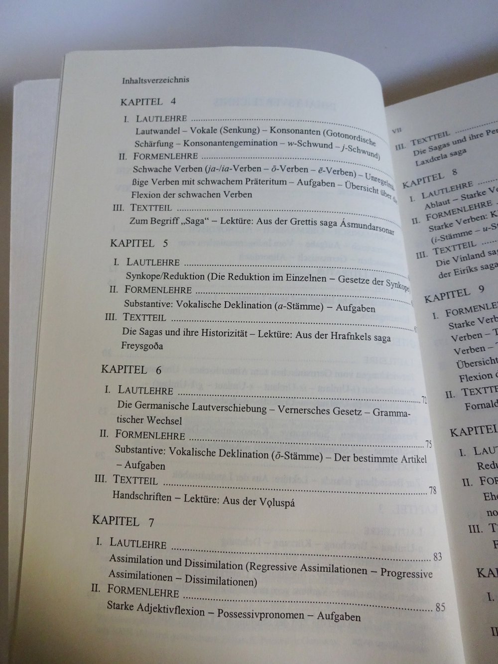 Einführung in das Altisländische 