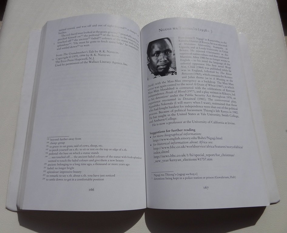 The Many Voices of English Kurzgeschichtensammlung 