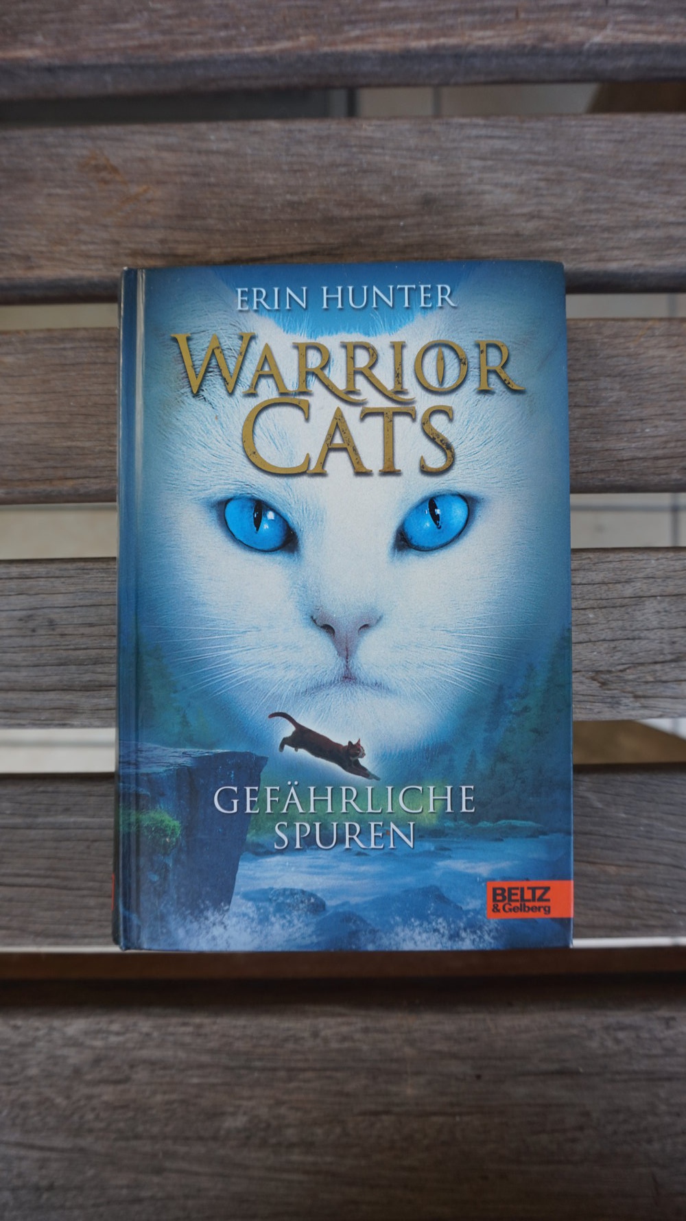 WarriorCats Staffel 1 BAND 5