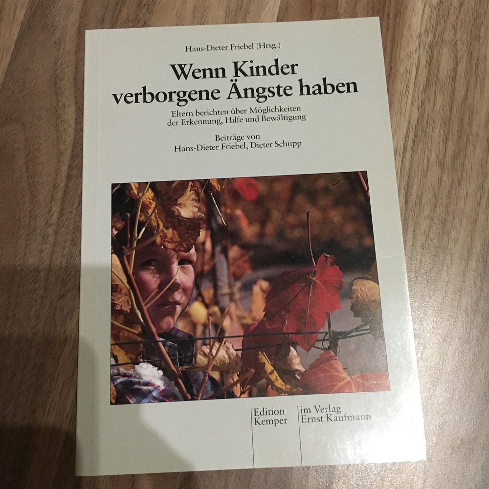  Wenn Kinder verborgene Ängste haben. Eltern berichten über Möglichkeiten der Erkennung, Hilfe und Bewältigung
