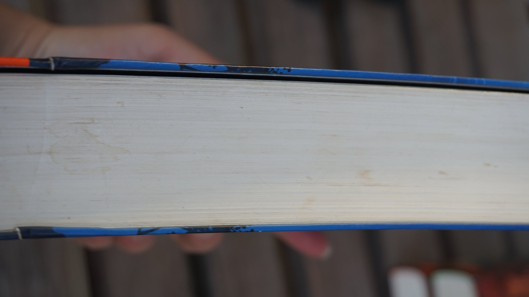 WARRIORCATS SPEZIALBAND 1