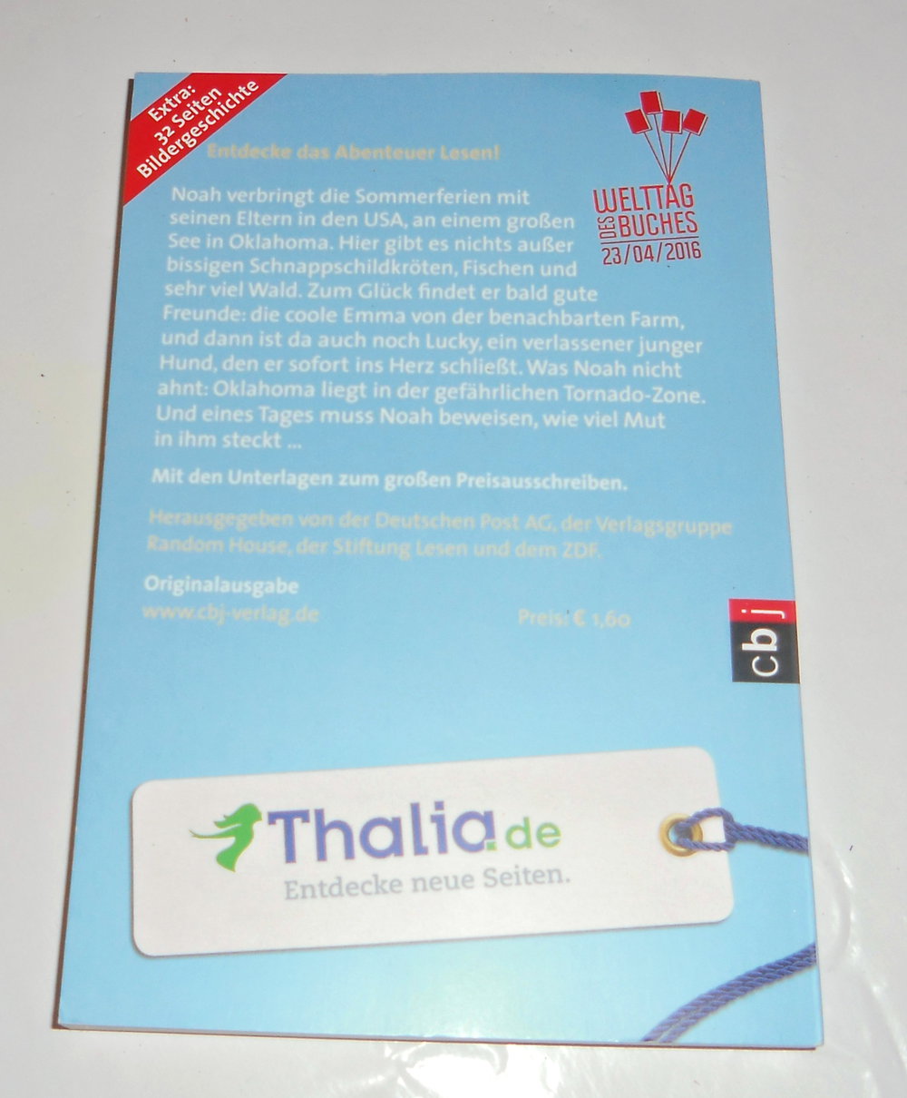 ich schenk dir eine Geschichte 2016 - Im Bann des Tornados Taschenbuch