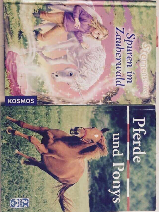 Viele Bücher für Leseanfänger oder Fortgeschrittene Leseratten 