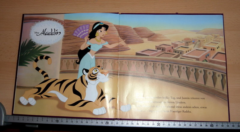 Buch - Disney Prinzessinnen im Schnee