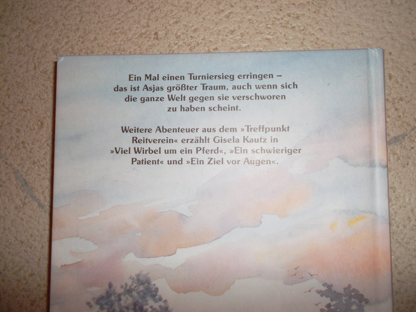 buch,gisela,kautz,der tuniersieg