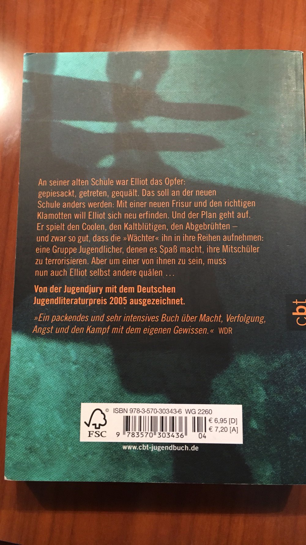 Im Schatten der Wächter 