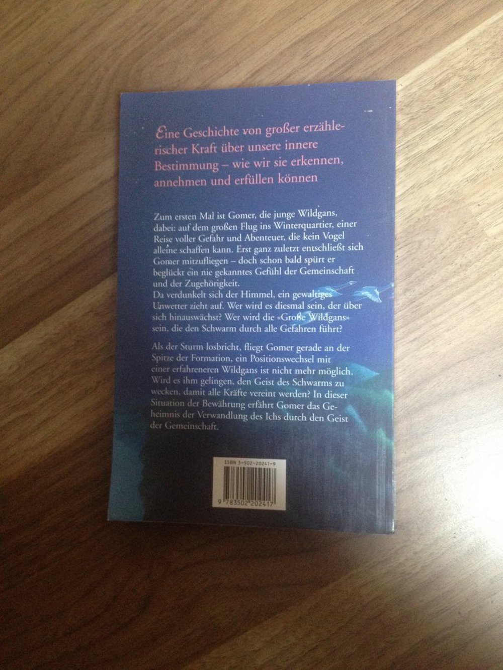 Auf den Flügeln des Sturms