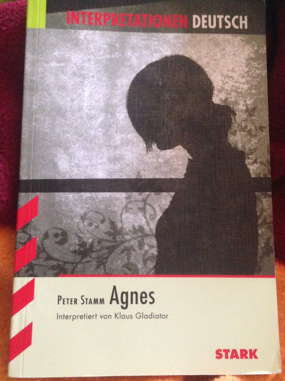 Agnes. Lektürehilfe