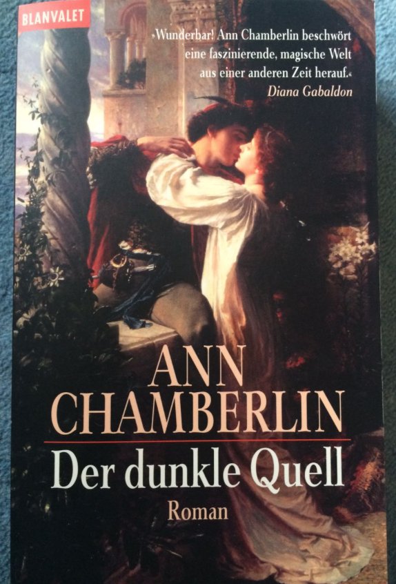 Der dunkle Quell (Roman)