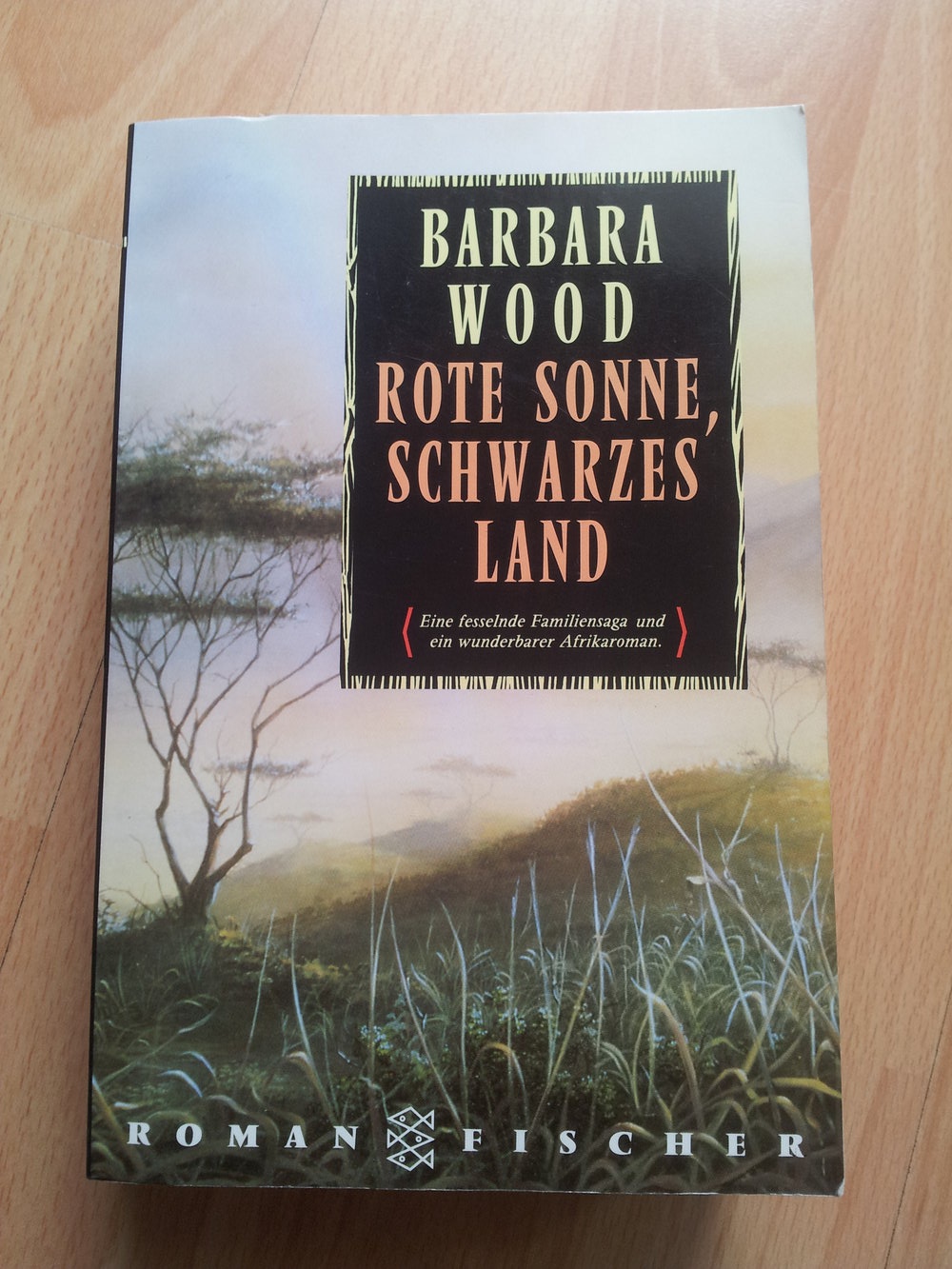 Buch - Rote Sonne, Schwarzes Land - Barbara Wood NEU