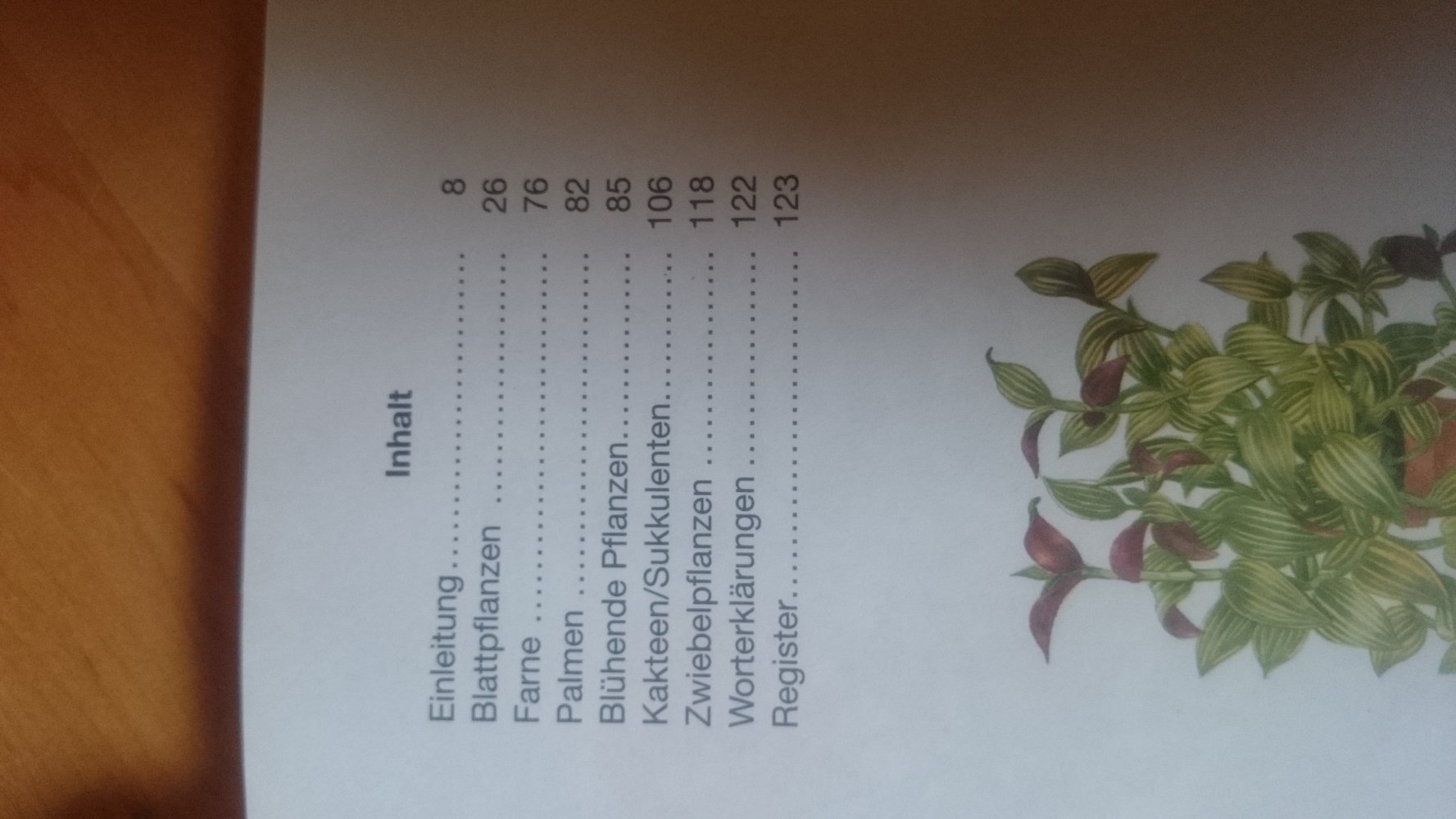 Zimmerpflanzen. Erkennen und Bestimmen.