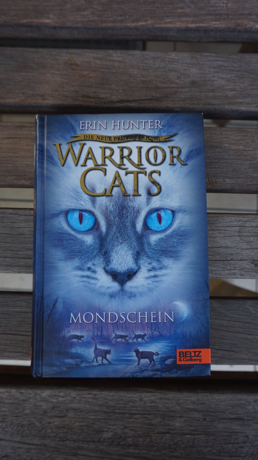 WarriorCats Staffel 2 Band 2