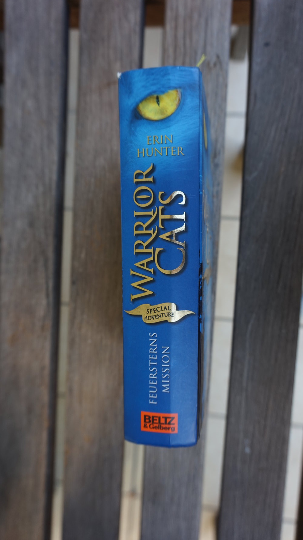 WARRIORCATS SPEZIALBAND 1