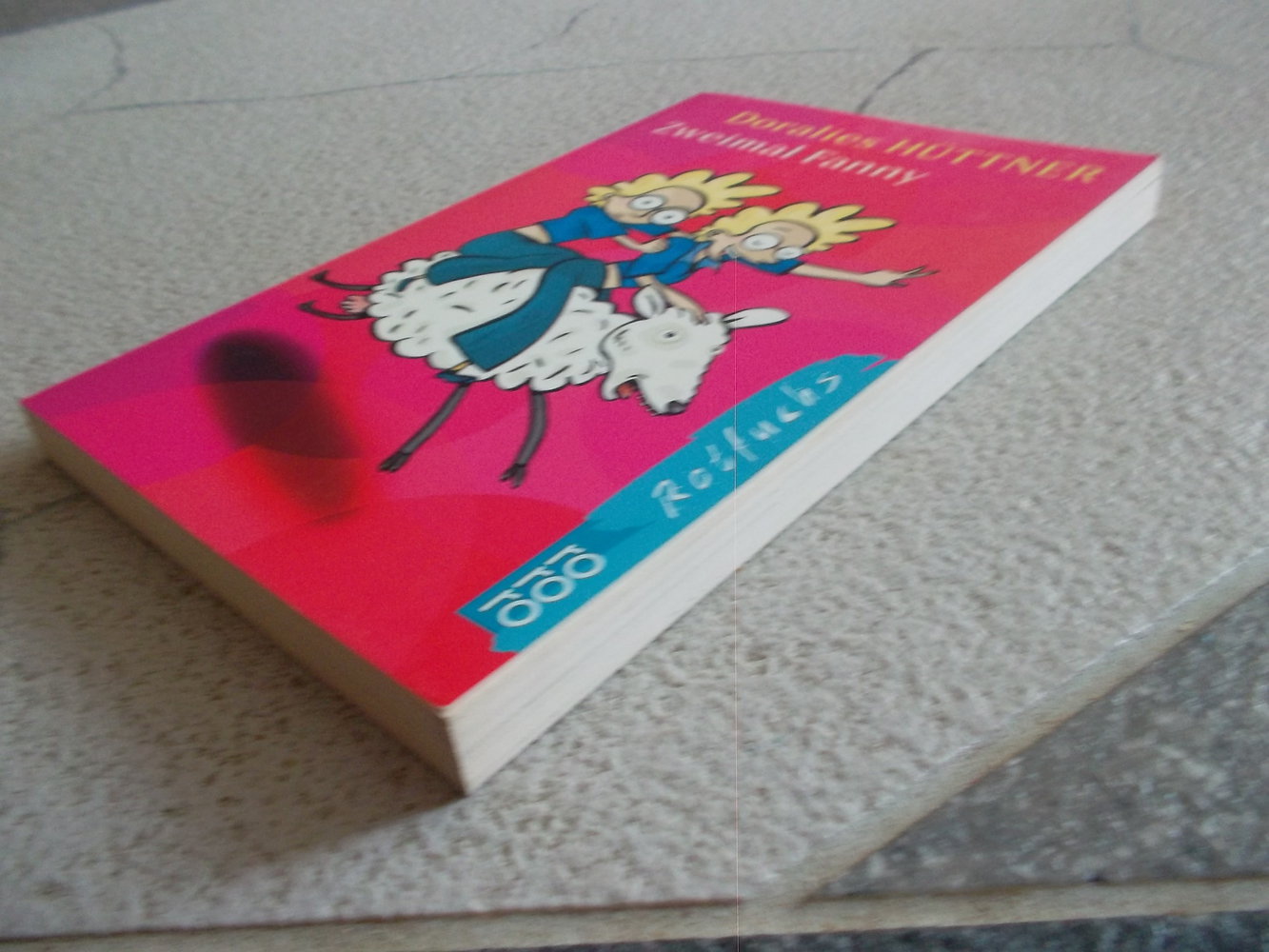 zweimal fanny,tolles kinderbuch,doralies hüttner