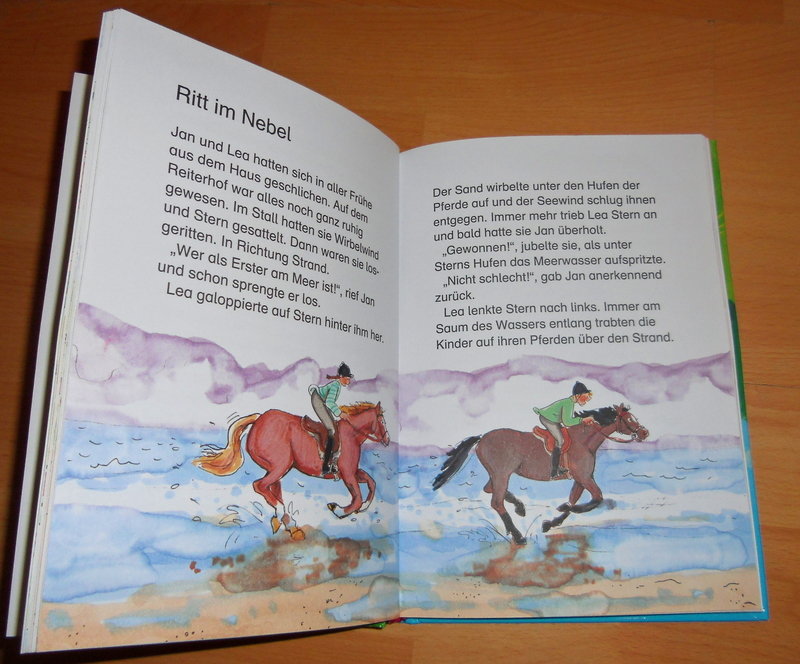 Leselöwen - Pferdegeschichten-Wendebuch