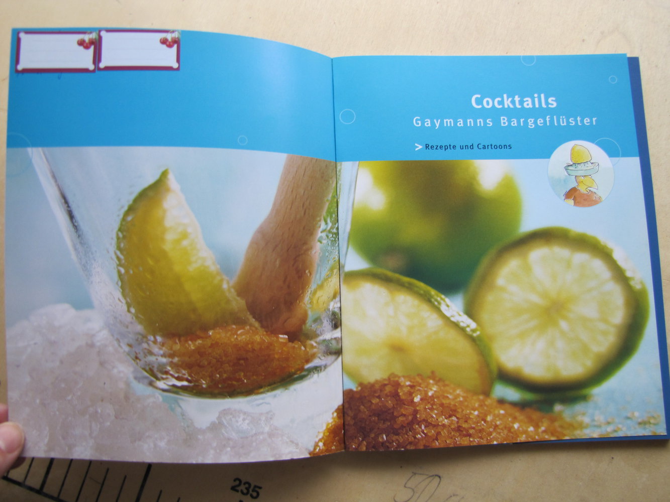Coctails - Rezepte und Cartoons