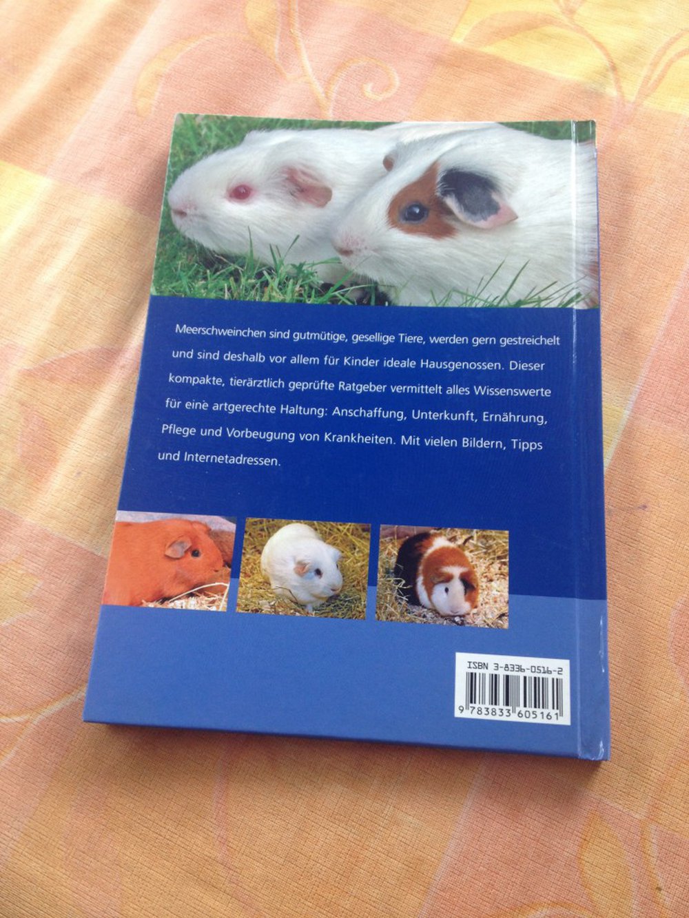 Meerschweinchen: Verhalten, Pflege, Ernährung