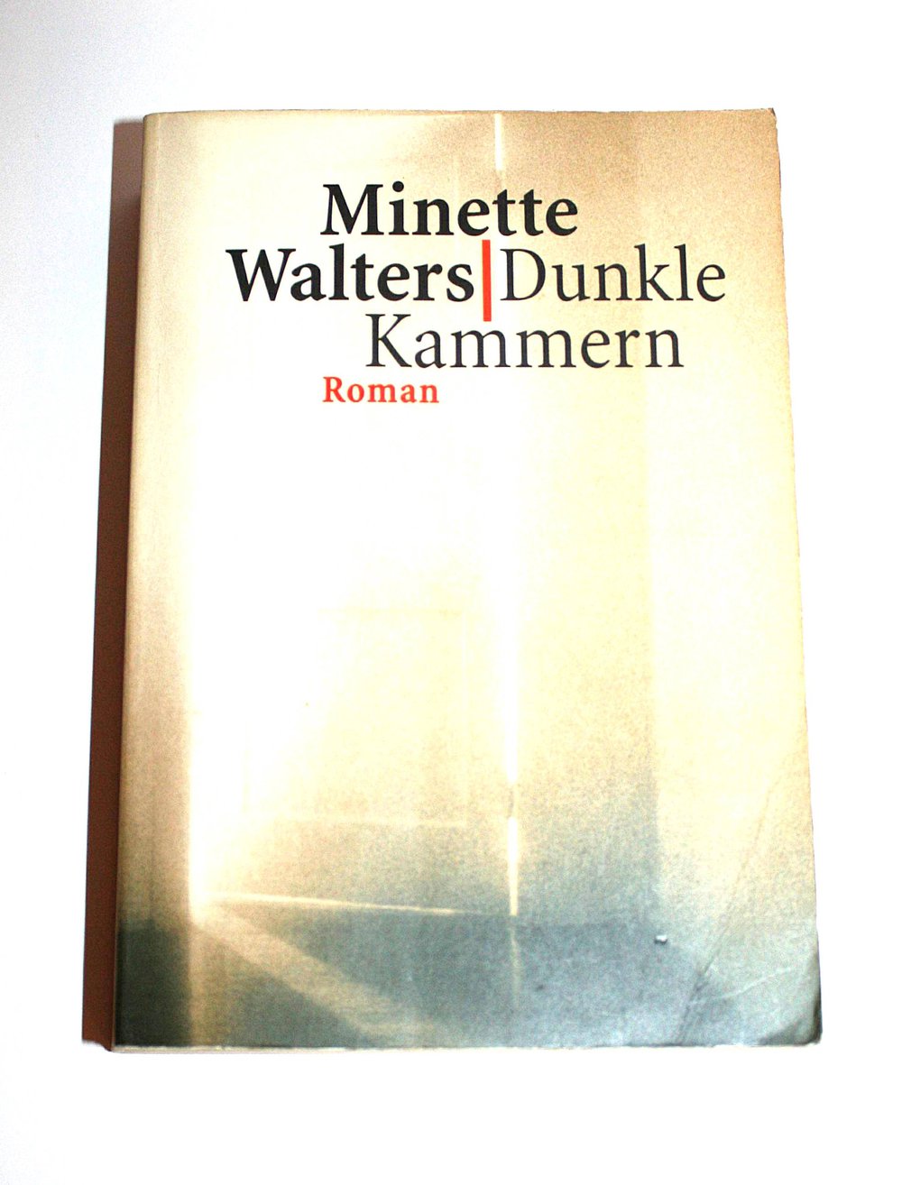 Dunkle Kammern Roman Minette Walters