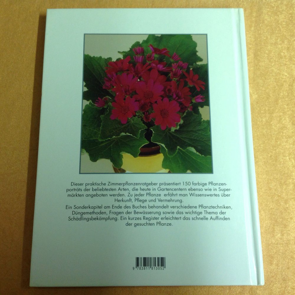 Zimmerpflanzen von A bis Z