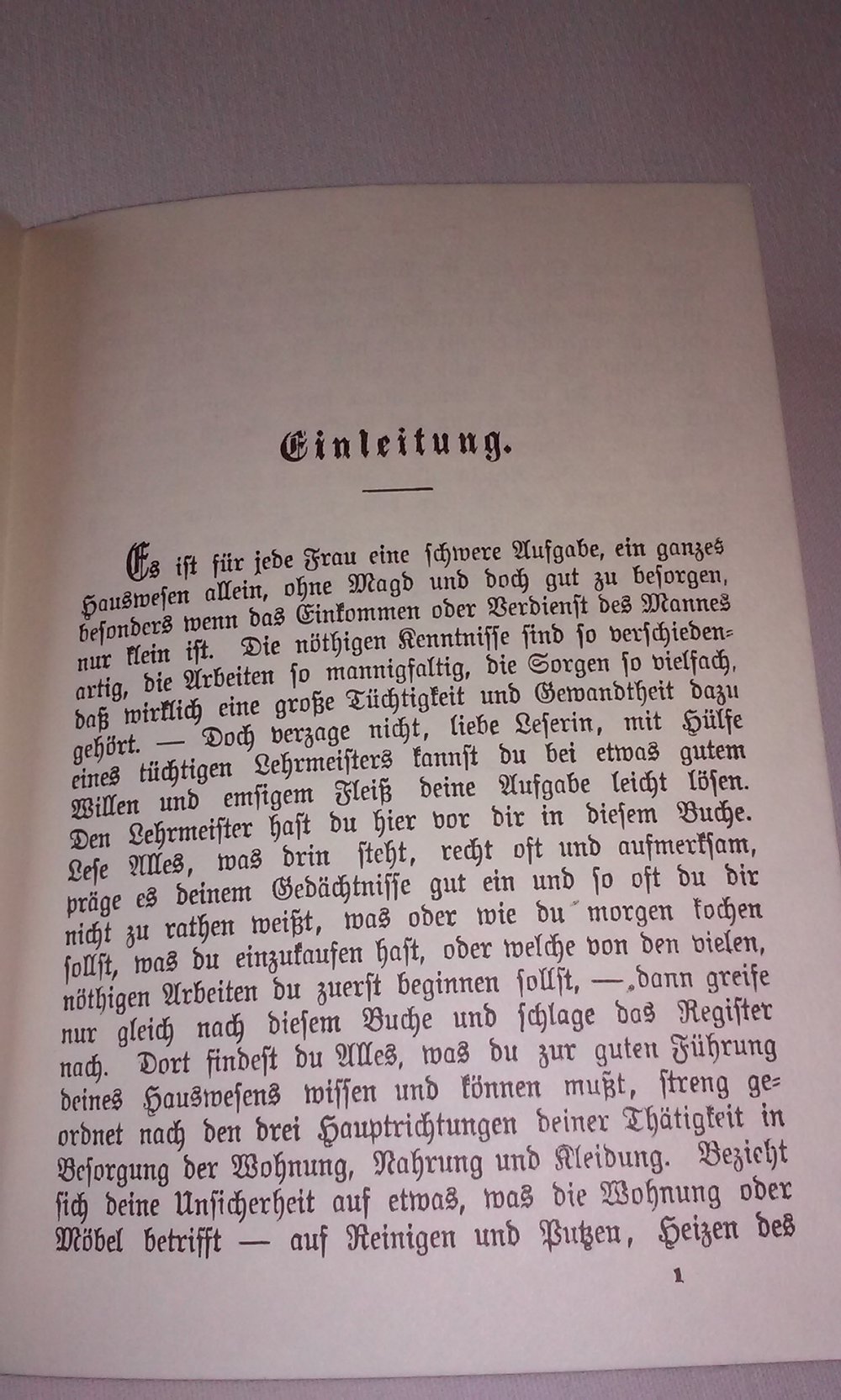 Das häusliche Glück. Vollständiger Haushaltungsunterricht nebst Anleitung zum Kochen für Arbeiterfrauen  antik 1975 (reprint 1888)