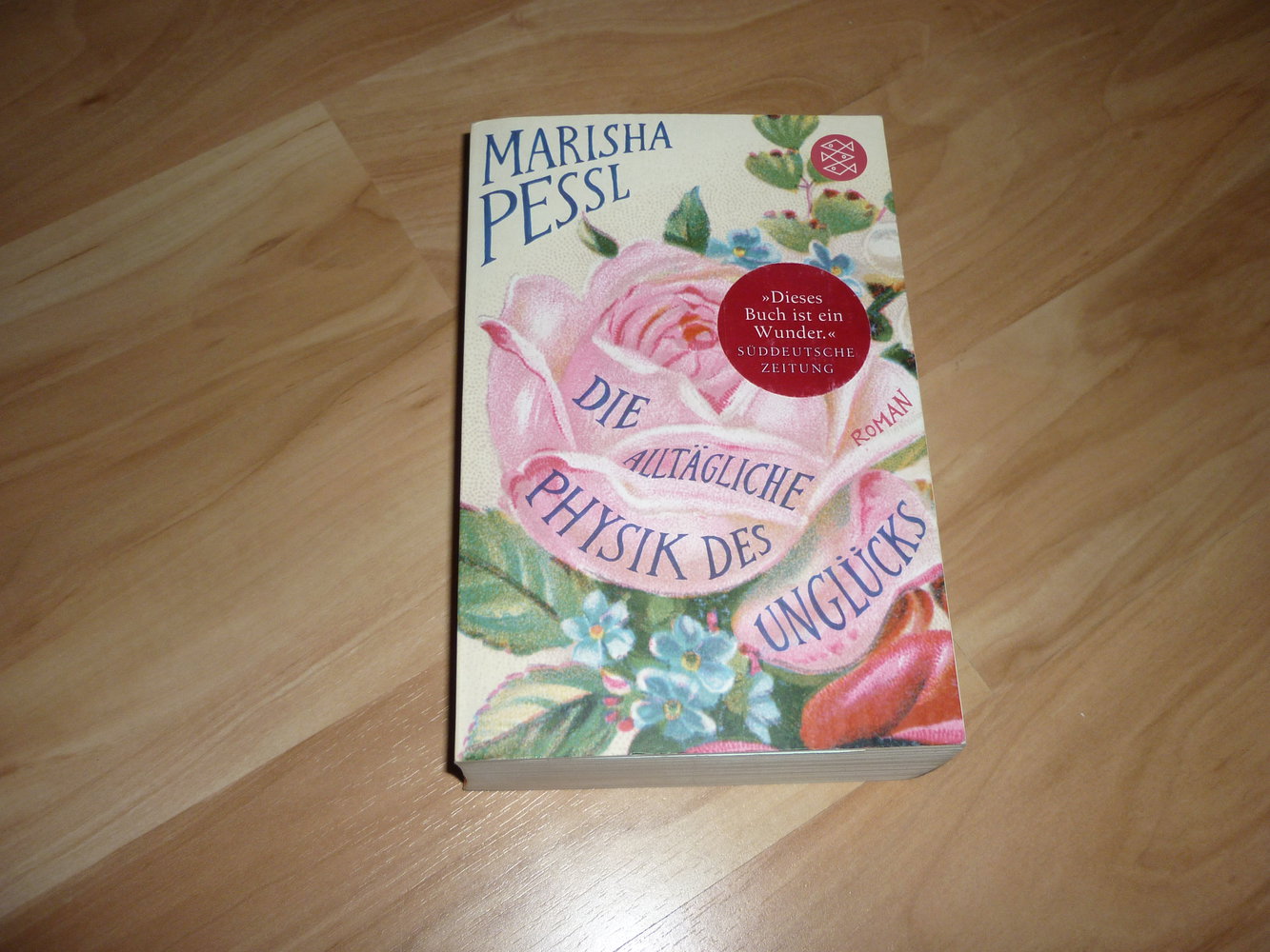  Die alltägliche Physik des Unglücks - Marisha Pessl -