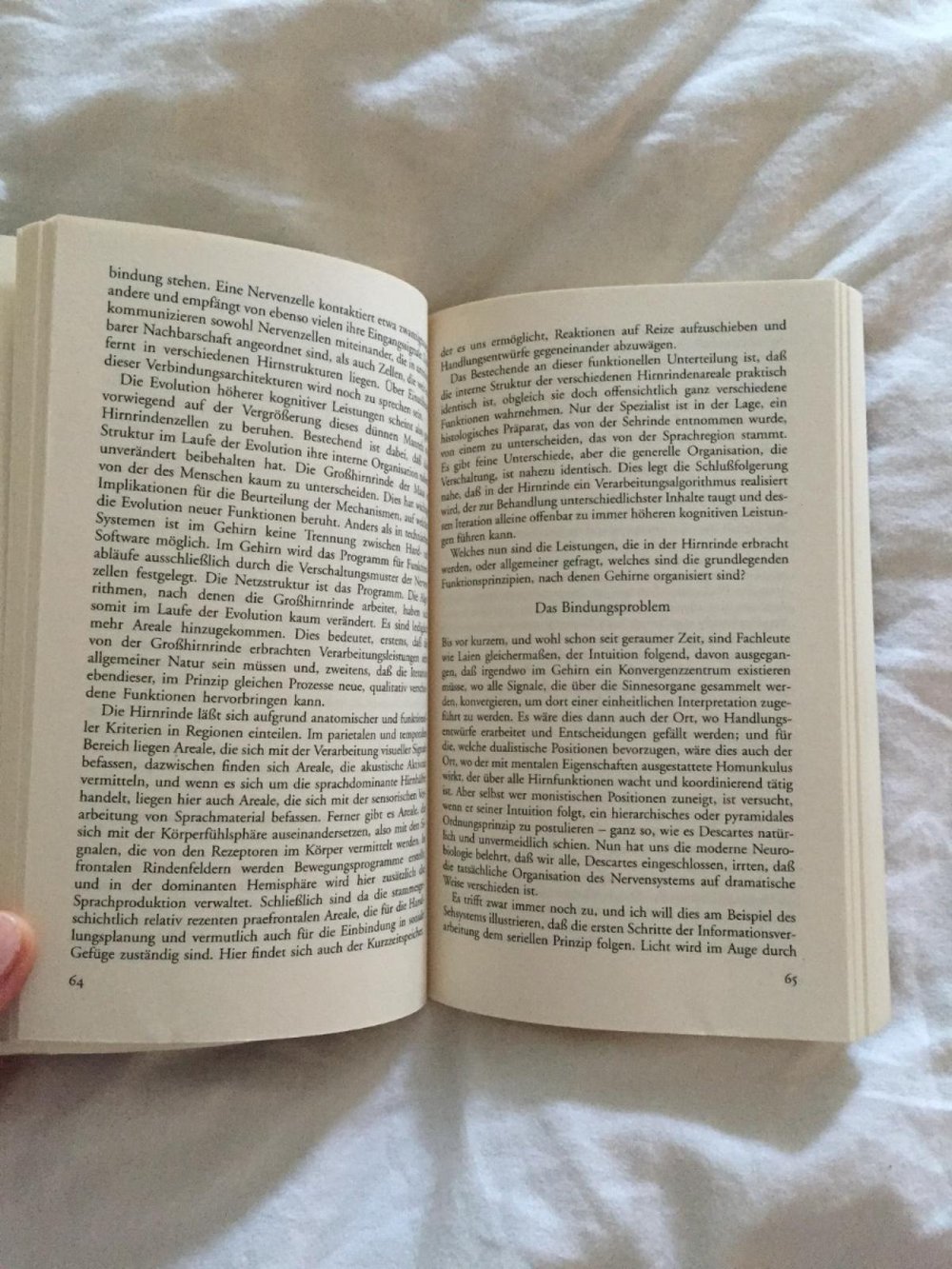 Der Beobachter im Gehirn Wolf Singer Buch Wissenschaft