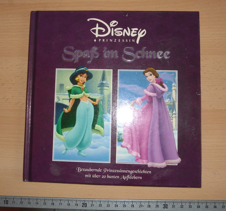 Buch - Disney Prinzessinnen im Schnee