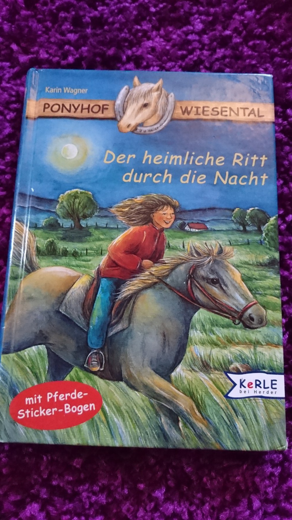 Ponyhof Wiesental: Der heimliche Ritt durch die Nacht von Karin Wagner