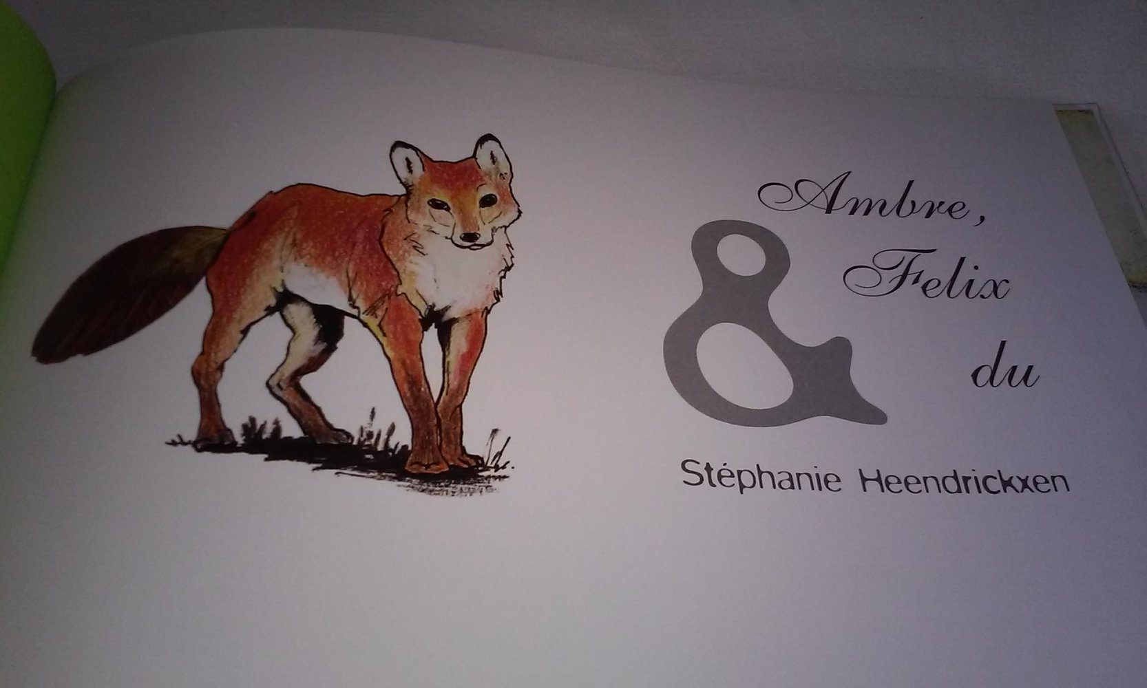 Ambre, Felix & Du Kinderbuch neuwertig Geschenktipp