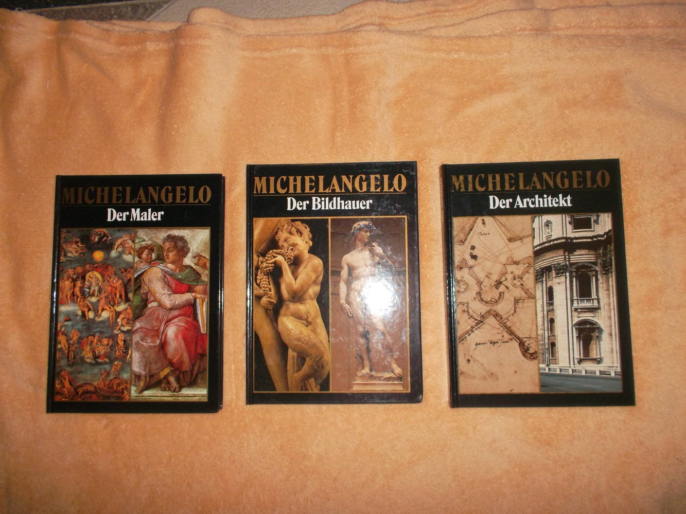 bücher,michelangelo,1988